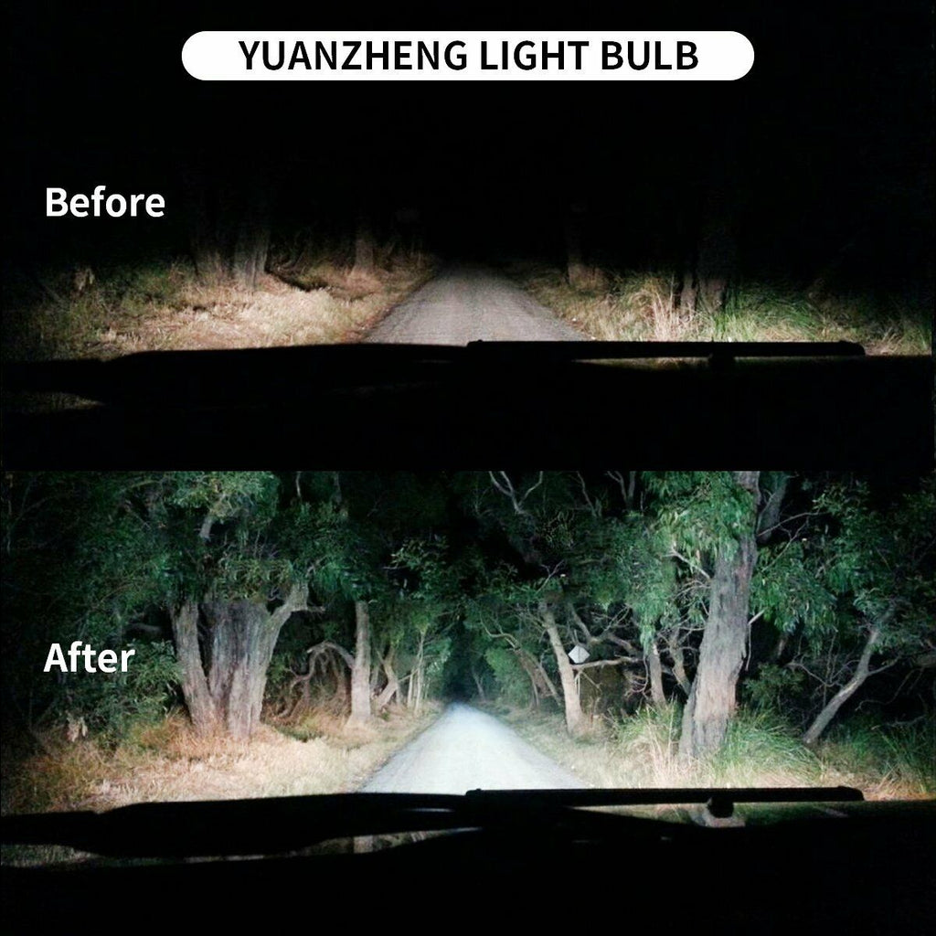 D2H HID Headlight Bulbs