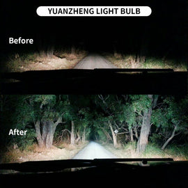 D2H HID Headlight Bulbs